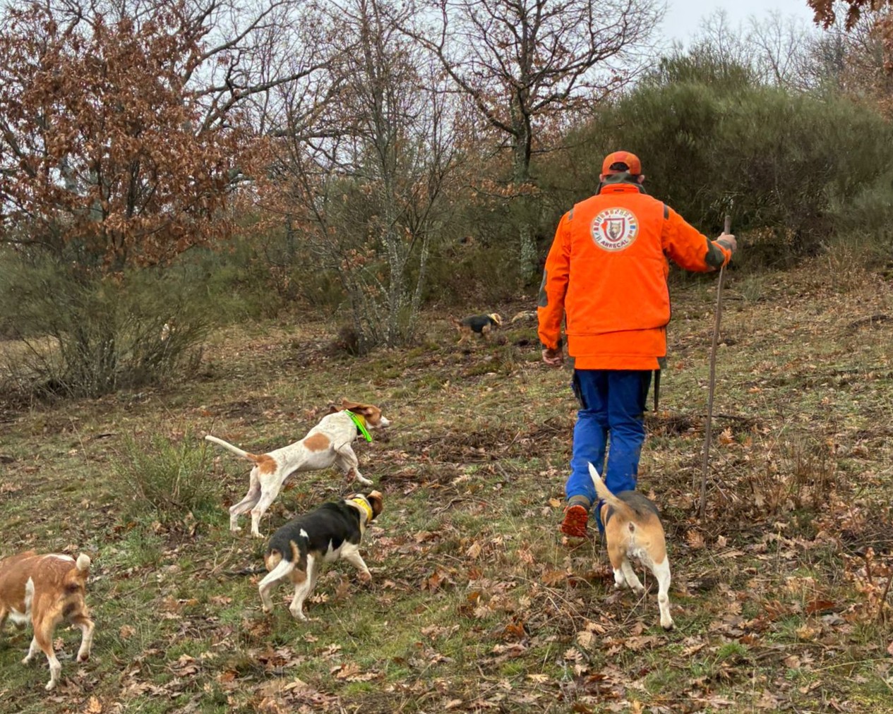ARRECAL solicita consenso y claridad para la nueva normativa de núcleos zoológicos