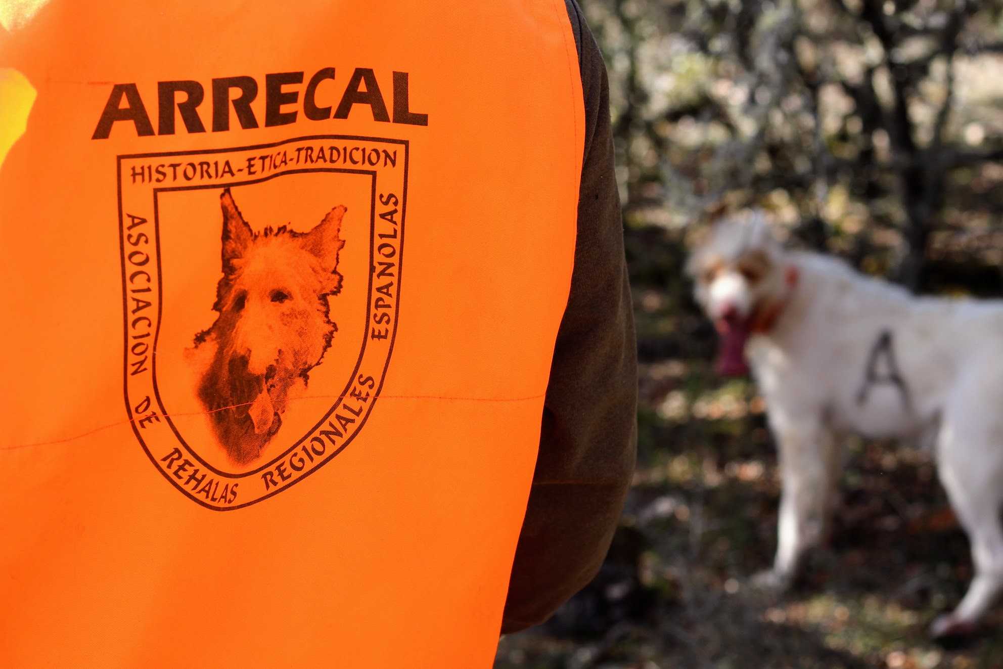 ARRECAL advierte que Europa avanza hacia una regulación única y teme consecuencias para las rehalas españolas